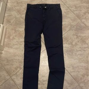 j brand blue plants